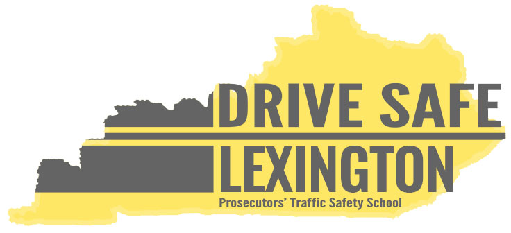 drivesafe-lexington logo